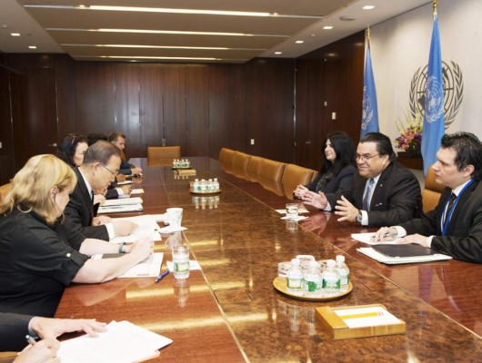 Canciller de Honduras viaja a Nueva York para definir apoyo al diálogo nacional