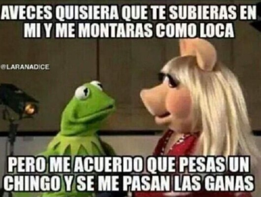 El origen de los memes de la Rana René