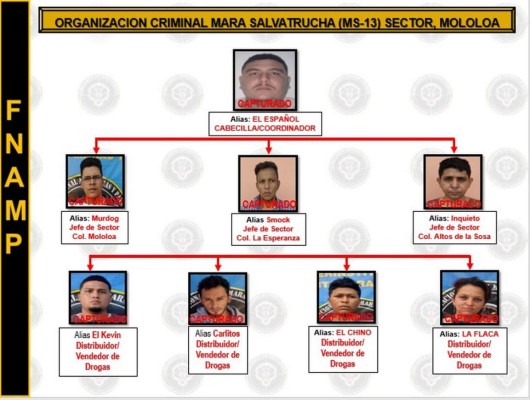 De liderar en la Mololoa a su captura en residencial Palma Real, así cayó cabecilla de la MS-13