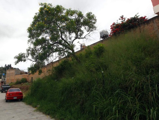 Cementerios municipales de Tegucigalpa a punto de ser clausurados