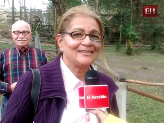 Saludo a los míos desde el parque de las Naciones Unidas, El Picacho