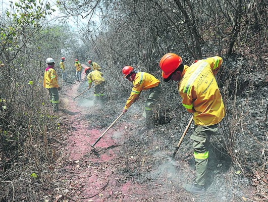 ¡Gracias por proteger a la madre naturaleza!