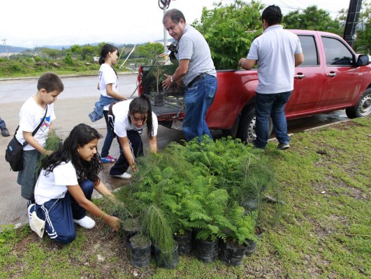 Escuelas amigables dejan su huella con reforestación de área verde