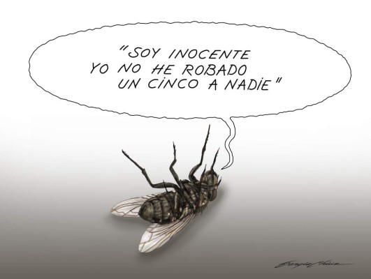 Mosquita muerta