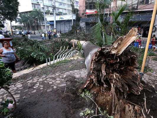 Los estragos que dejó la tormenta en Tegucigalpa y Comayagüela