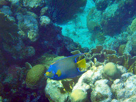 Fotos de los lectores para el Día de la Tierra