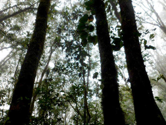 EL HERALDO te premia en el Día de la Tierra