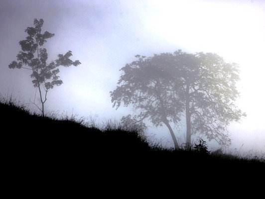 Las fotos de la semana en ElHeraldo.hn