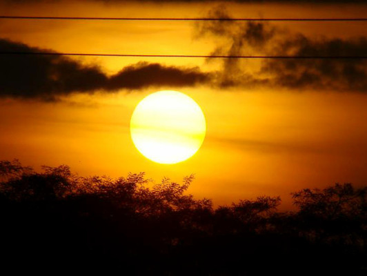 EL HERALDO te premia en el Día de la Tierra