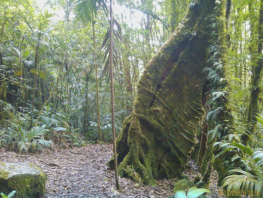 EL HERALDO te premia en el Día de la Tierra