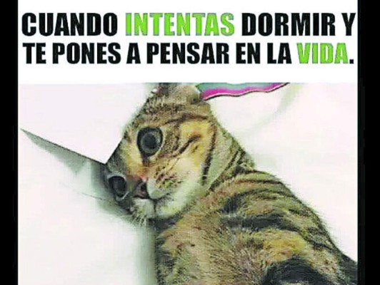 Los Catrachistes: Para morirse de la risa