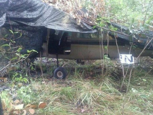 Frustran operación de envío de droga a Honduras