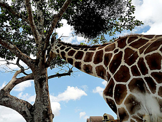 EL HERALDO te premia en el Día de la Tierra