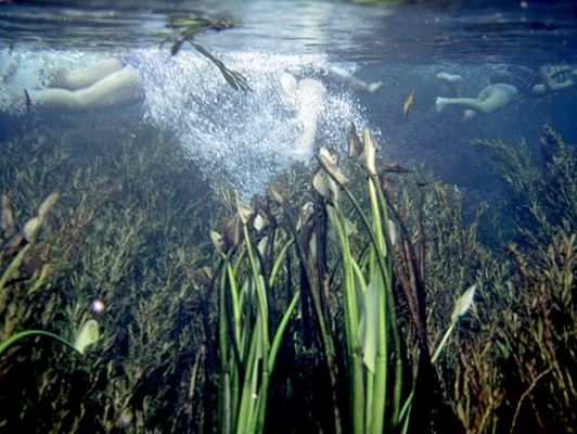 Cayos Cochinos de Honduras entre 35 lugares para visitar antes de morir