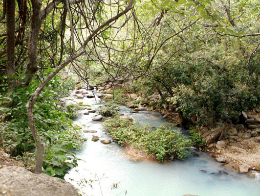 EL HERALDO te premia en el Día de la Tierra