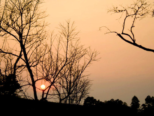 EL HERALDO te premia en el Día de la Tierra