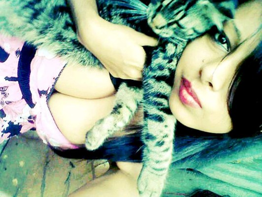 Así celebran hondureños el Día del Gato