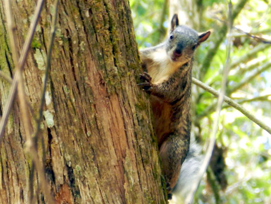 Fotos de los lectores para el Día de la Tierra