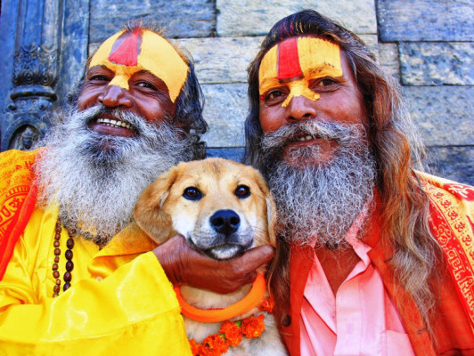 Perro rescatado de basurero es el primero en subir al Everest