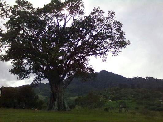 EL HERALDO te premia en el Día de la Tierra