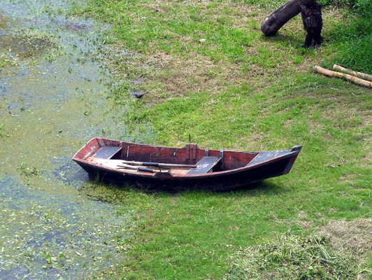 EL HERALDO te premia en el Día de la Tierra