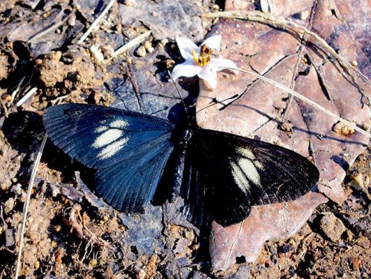 EL HERALDO te premia en el Día de la Tierra