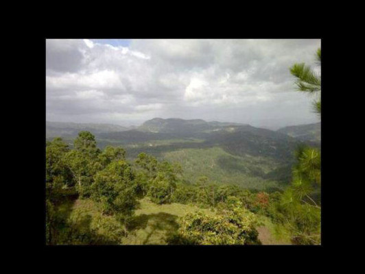 EL HERALDO te premia en el Día de la Tierra