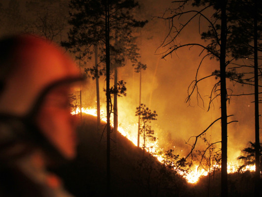 Bosque de El Hatillo, Tatumbla y Triquilapa arde sin piedad