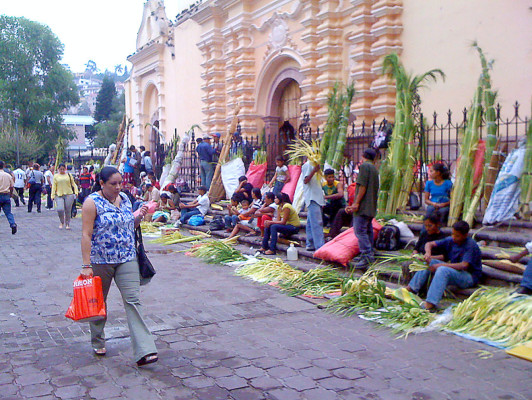 Inicia venta de ramos en Tegucigalpa