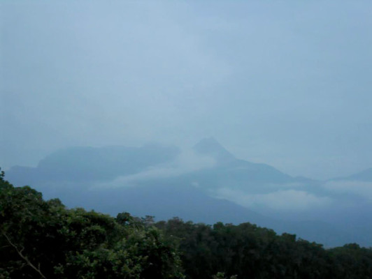 EL HERALDO te premia en el Día de la Tierra