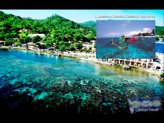 EL HERALDO te premia en el Día de la Tierra