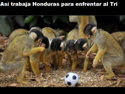 Los memes con los que mexicanos se burlan de hondureños