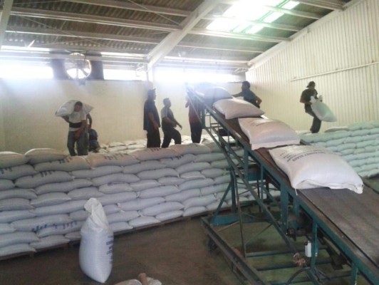 Honduras: Llegan 46 contenedores cargados con frijoles al IHMA