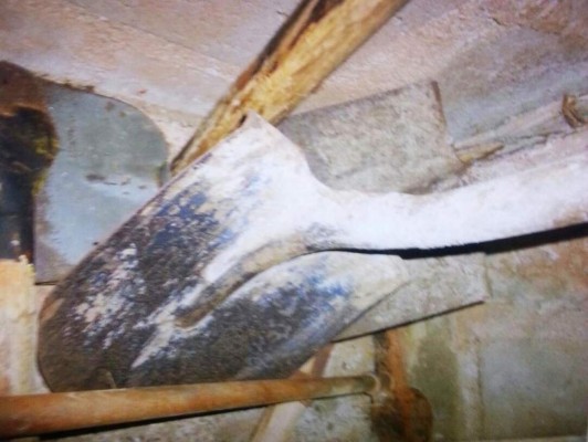 Encuentra evidencias de crimen contra Miss Honduras y su hermana