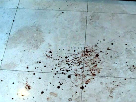 Difunden imágenes del baño en el que Pistorius mató a su novia