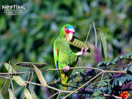 Fotos de los lectores para el Día de la Tierra