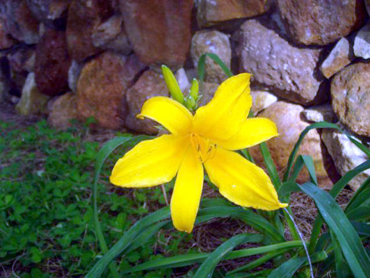 Fotos de los lectores para el Día de la Tierra