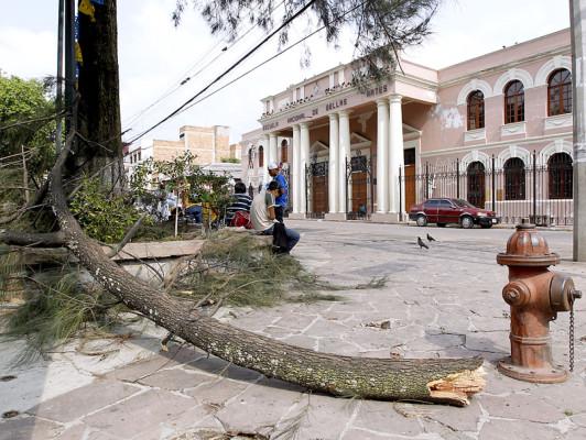 Los estragos que dejó la tormenta en Tegucigalpa y Comayagüela