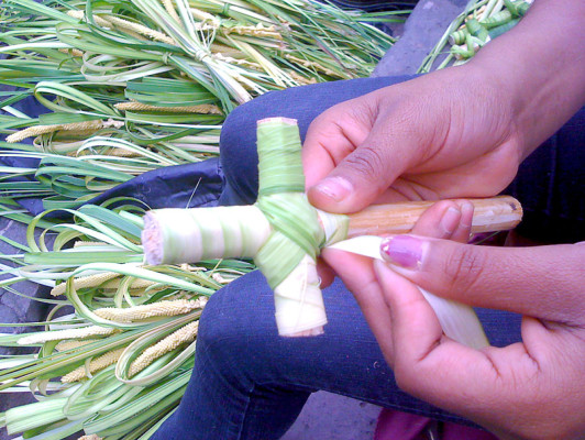 Inicia venta de ramos en Tegucigalpa