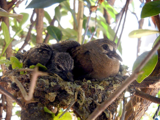 EL HERALDO te premia en el Día de la Tierra