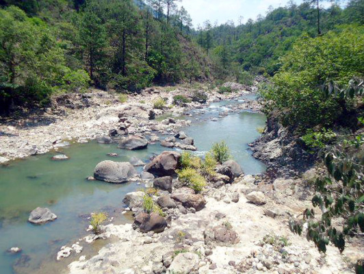 EL HERALDO te premia en el Día de la Tierra