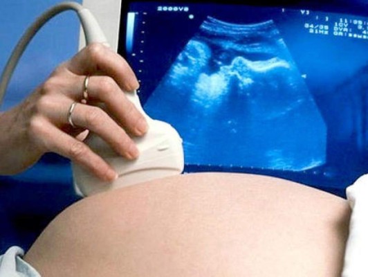 Los 10 videos de la semana en ElHeraldo.hn