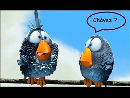 Maduro critica que se rían de él por haber visto a Chávez en pajarito