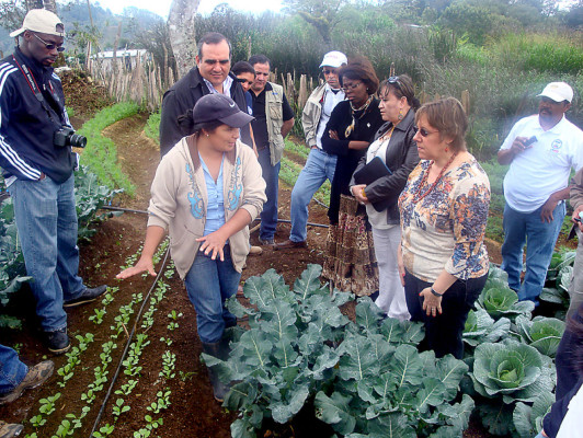 Honduras alcanza metas contra el hambre