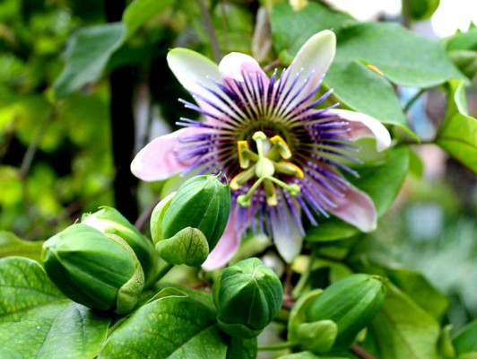Fotos de los lectores para el Día de la Tierra