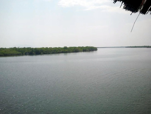 EL HERALDO te premia en el Día de la Tierra