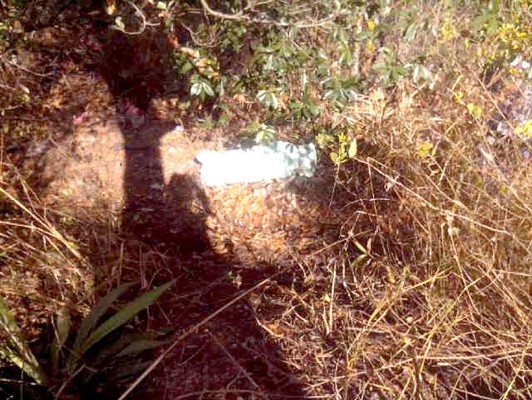 En sacos descubren otros dos cadáveres en capital hondureña