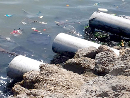 Hoy se conmemora el Día Mundial de la Tierra