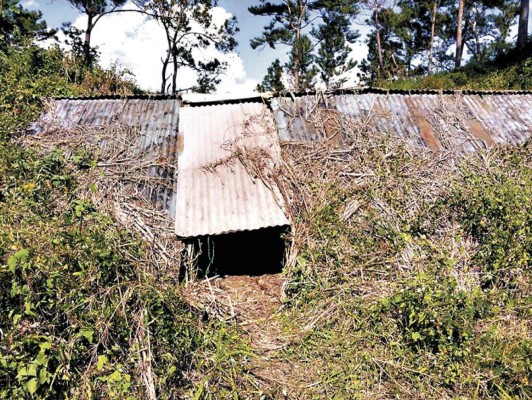 Desmantelan supuesto narcolaboratorio en Copán