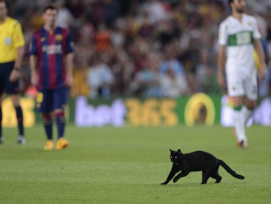 VIDEO: El gato negro que invadió el Camp Nou